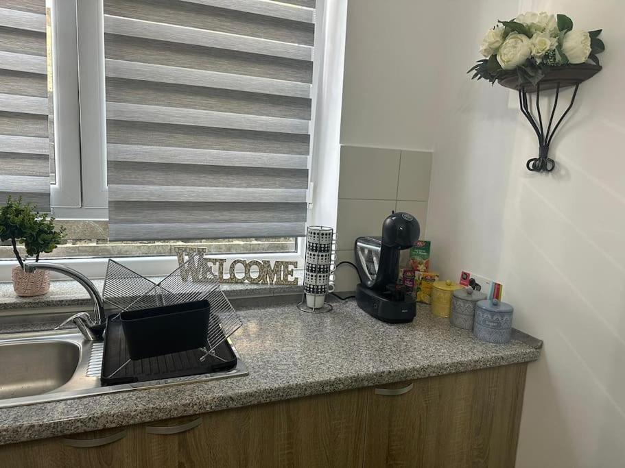 Newlevel Studio براشوف المظهر الخارجي الصورة
